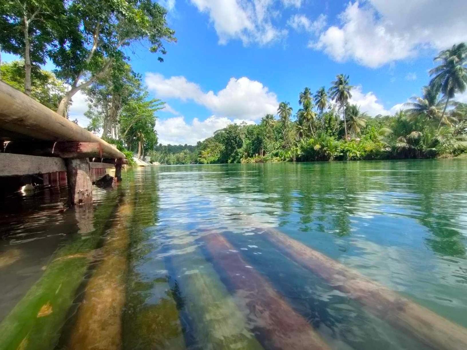 Gbu Loboc River Guesthouse Екстер'єр фото